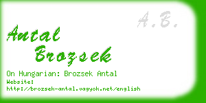 antal brozsek business card